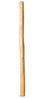 Natural Finish Didgeridoo (TW1335)